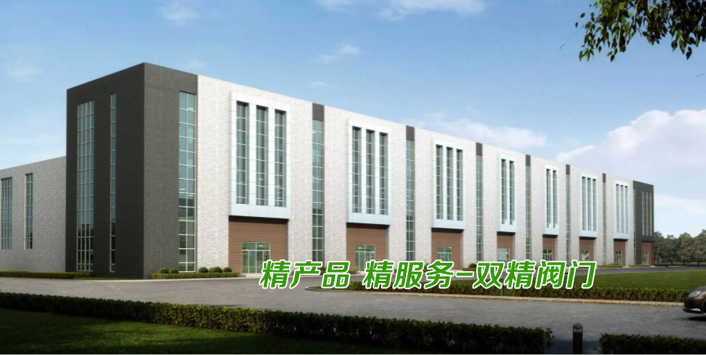 浙江雙精閥門有限公司
